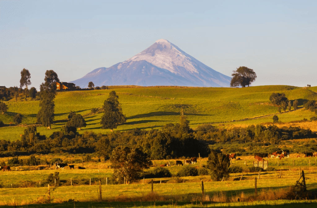Luna de miel en Puerto Varas